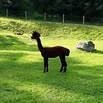 Alpklang Apartman Untertauern