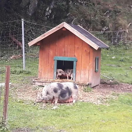 Appartement Alpklang