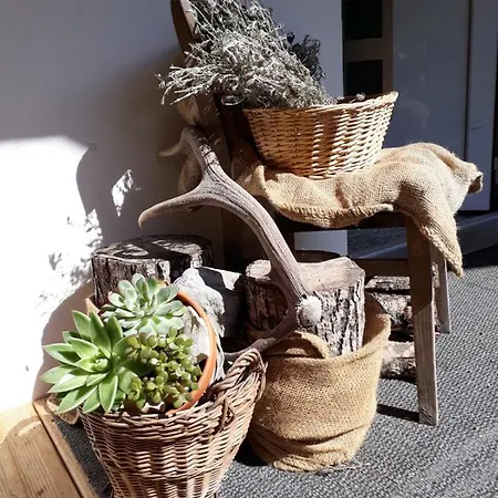 Alpklang Appartement Untertauern