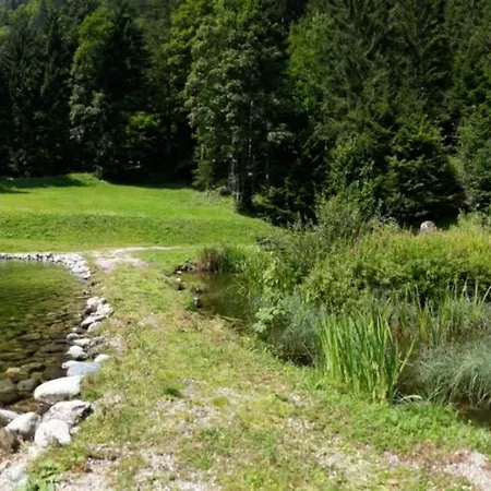 Appartement Alpklang Untertauern