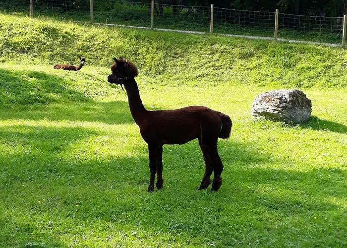 Alpklang Lägenhet Untertauern