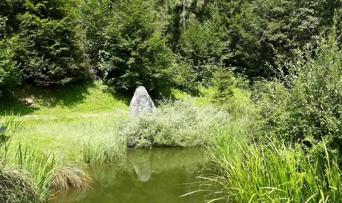 Lägenhet Alpklang Untertauern